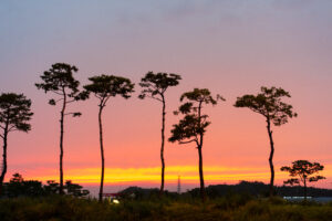 지구에게 인간이란?