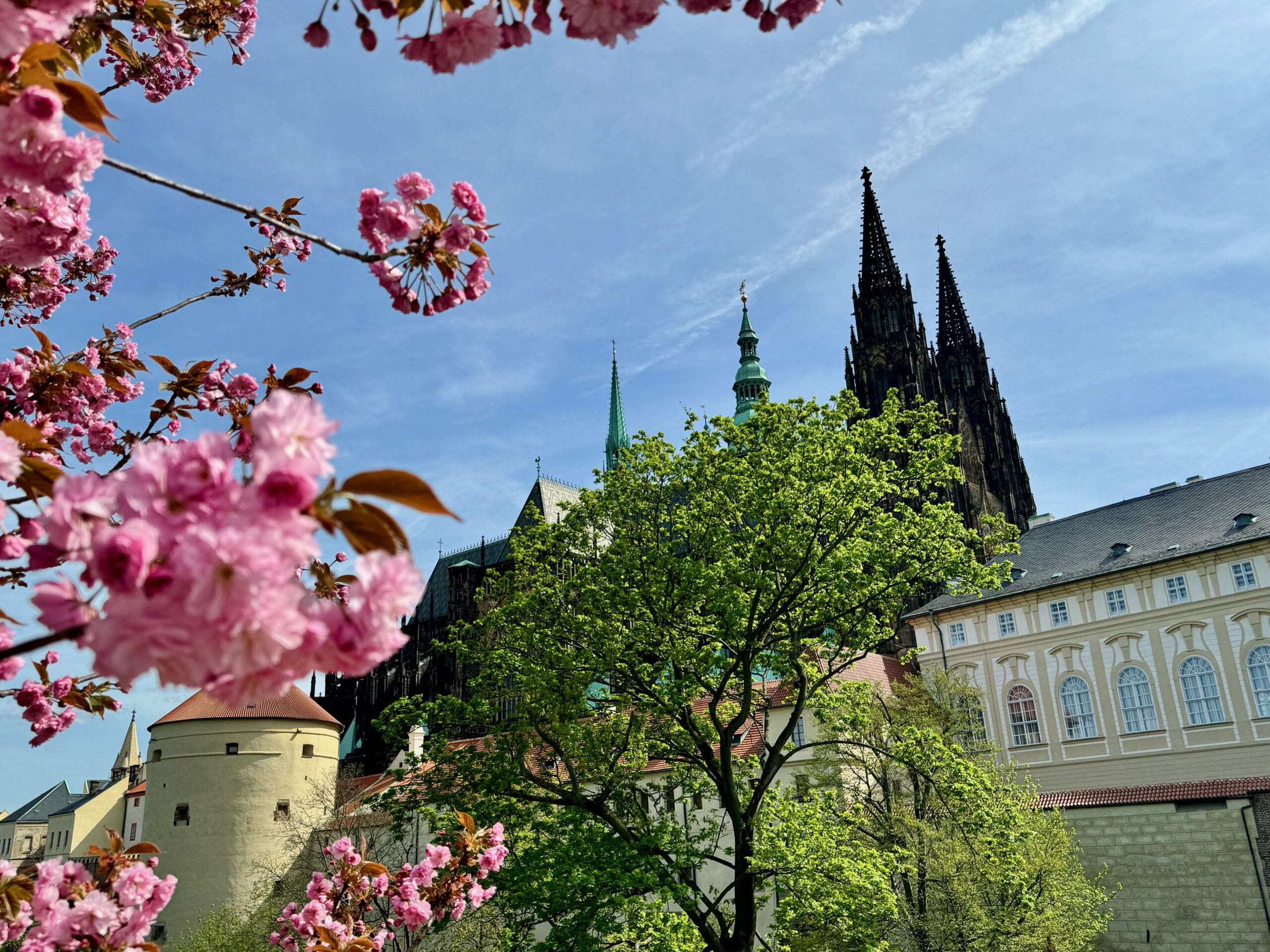 봄의 약속, 기다림과 희망의 계절